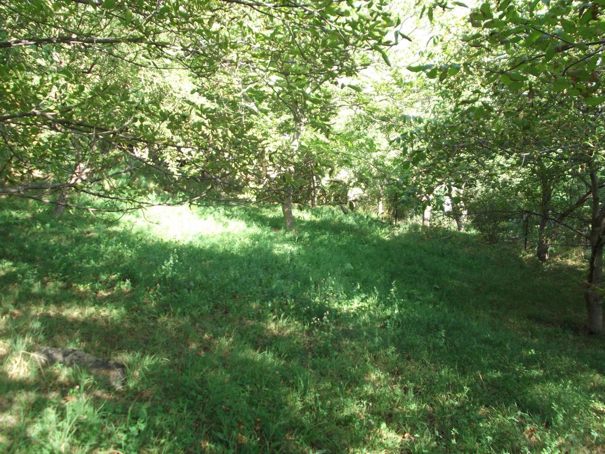 Yekhegis Legend Guest House מראה חיצוני תמונה